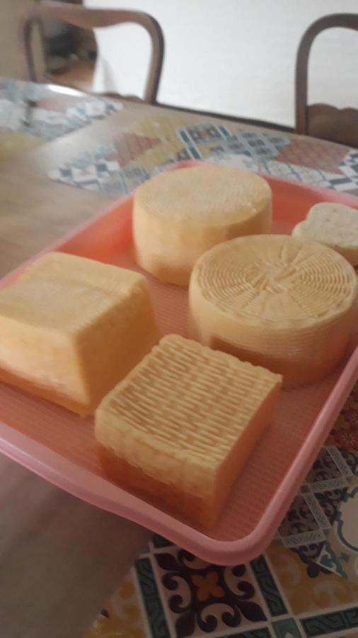 Oldrzychowice KlodzkieKozy I Roze别墅 外观 照片